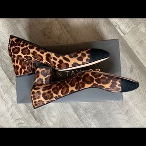 6.5 AT Leopard Print Calf Hair Cap Toe Pumps